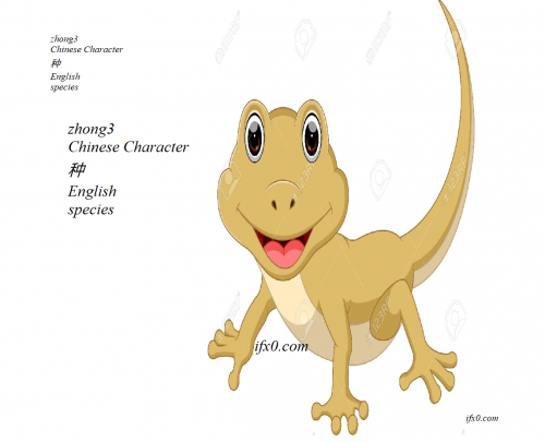 zhong3.png