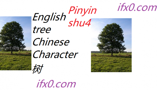 shu4-tree-in-Chinese-HSK-3.png