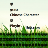 -grass-in-Chinese-HSK-3