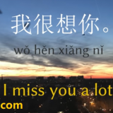 wohenxiangni-HSK-Sentences