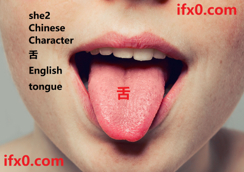 she2-tongue-in-Chinese-HSK-3-words.png