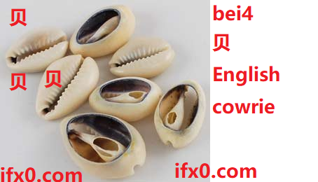 bei4-cowrie-in-Chinese-HSK-3-words.png