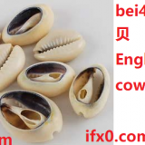 bei4-cowrie-in-Chinese-HSK-3-words