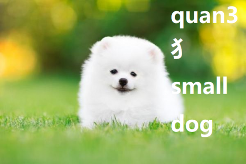 small-dog-in-Chinese-quan3-HSK-3-words.png