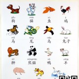 Chinese-popular-Animals