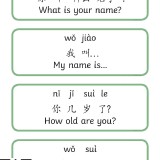 HSK-level-1-Sentences