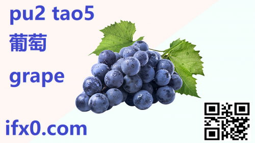 pu2-tao5-grape-in-Chinese-HSK-3-words.png