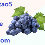 pu2-tao5-grape-in-Chinese-HSK-3-words