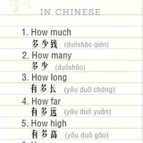 questions-in-Chinese