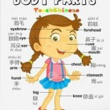 body-parts-in-Chinese