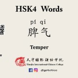 pi2-qi2-temper-in-Chinese-HSK-5