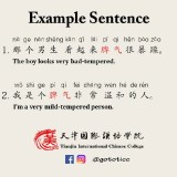 the-boy-looks-very-bad-tempered-HSK-sentences