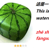 this-is-a-square-watermelon-in-Chinese